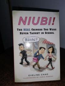 Niubi!：The Real Chinese You Were Never Taught in School
