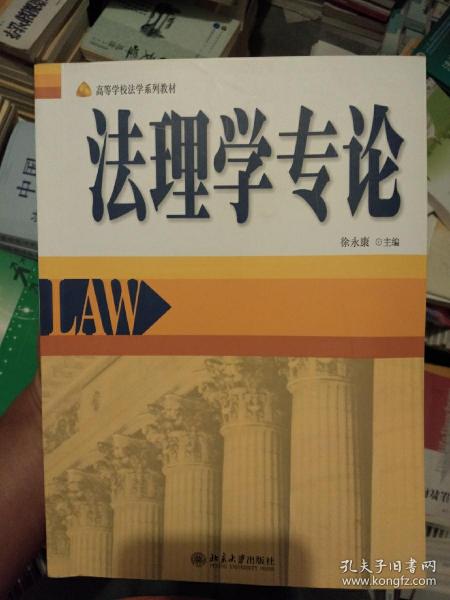 高等学校法学系列教材：法理学专论