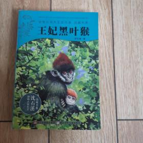 动物小说大王沈石溪：王妃黑叶猴
