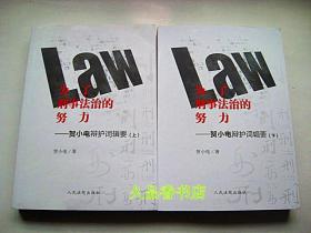 为了刑事法治的努力——贺小电辩护词辑要（套装共2册）