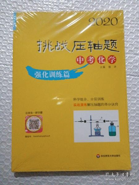 2020挑战压轴题·中考化学—强化训练篇