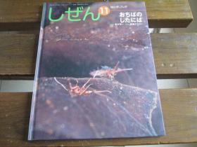 日文原版しぜん11 おちばのしたには ＜キンダーブック＞青木淳一 指导