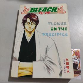 BLEACH. 死神. 4