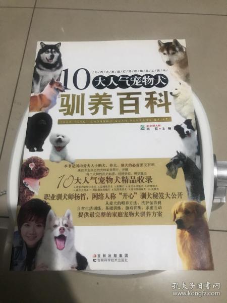 10大人气宠物犬驯养百科