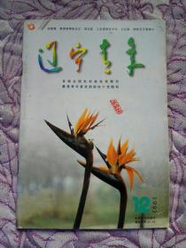 辽宁青年杂志1997年第12期