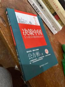 决策中国：当今政治问题的深层思考