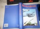 国外无人机大全（16开本，收编了从70年代到2000年的400多种各类无人飞机，有大量数据、图片） 作者:  《国外无人机大全》编写组 编 出版社:  《国外无人机大全》编写组 编 出版时间:  2001