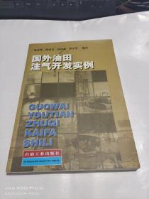 国外油田注气开发实例