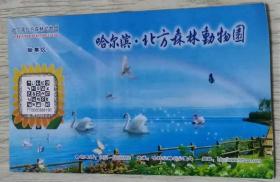 哈尔滨·北方森林動物園

哈尔滨北方森林动物园

HARBIN NORTHERN FOREST ZOO

长17厘米、宽9.29厘米

实物拍摄

现货

价格：10元