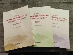 防范化解重大风险、生态文明建设、文化建设（贯彻落实习近平新时代中国特色社会主义思想在改革发展稳定中攻坚克难案例）【3本合售】