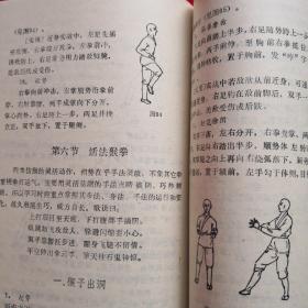 少林内功五形拳