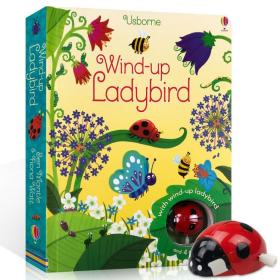 Wind-Up Ladybird 七星瓢虫发条轨道车 儿童玩具纸板书