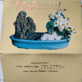 中南海＿水仙花艺术（卡片9张）