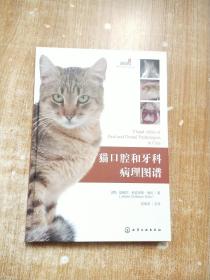 猫口腔和牙科病理图谱