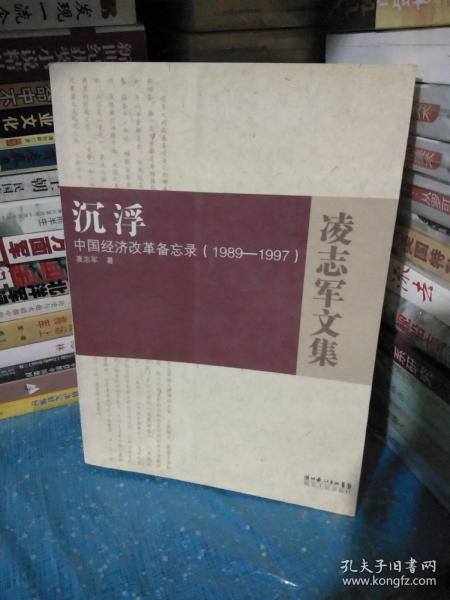 沉浮：中国经济改革备忘录1989-1997