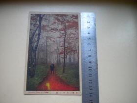 《大平景-日本老明信片》，长14厘米宽9厘米彩色，日光民国时期9.5品，N1011号，明信片