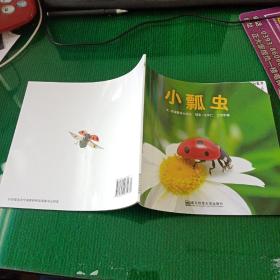 幼儿园早期阅读资源《幸福的种子》中班（上）小瓢虫