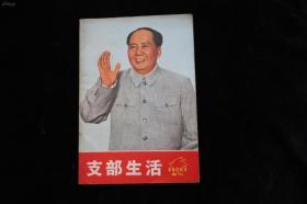 支部生活 革命样板戏画刊