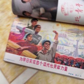 湖北青年（1977年7一12期，党的十一大增刊1本）共7本