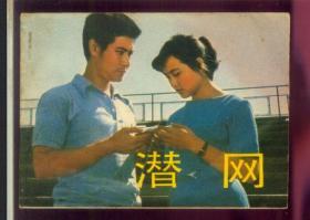 潜网（刘晓庆演）