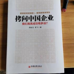 拷问中国企业 : 我们离真成功有多远？