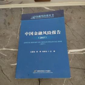 中国金融风险报告（2017）