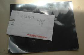 一组老电影《金牌师姐》电影剧照照片+底片