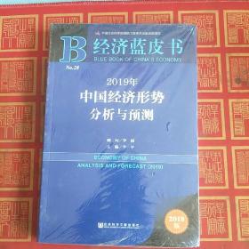 经济蓝皮书：2019年中国经济形势分析与预测