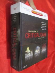 Textbook of Critical Care （Sixth Edition） 大16开，精装