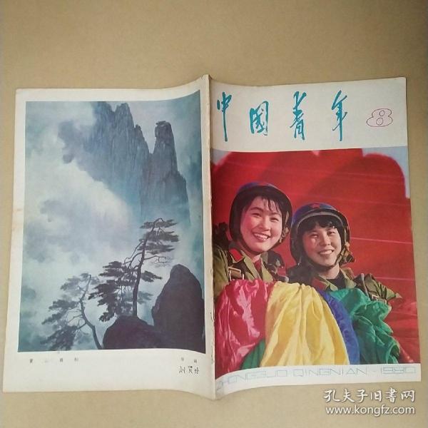 中国青年1980年8。