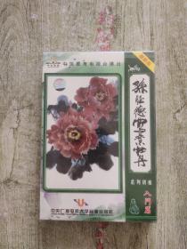 孙钰德写意牡丹系列讲座-入门篇5VCD【全新未拆封】