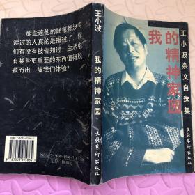 我的精神家园：王小波杂文自选集