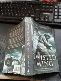 Twisted Wing