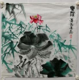 萧淑花鸟画