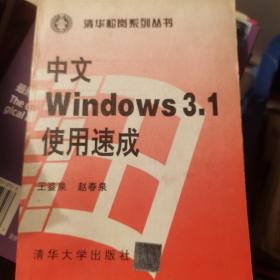 中文Windows 3.1使用速成