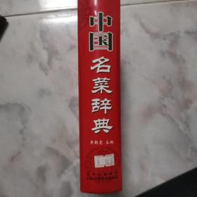 中国名菜辞典～硬精装很厚