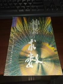 神秘的术数：中国算命术研究与批判