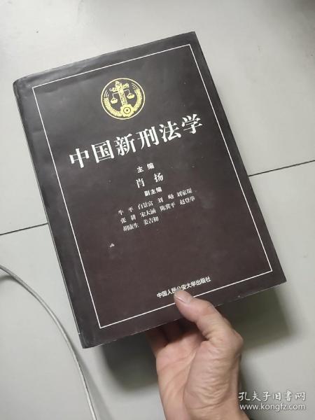 中国新刑法学【大16开硬精装厚册】