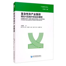 复杂性和产业集群：理论与实践中的动态模型