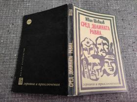 cpeд долината PABHA (在PABHA山谷)   (героика и приключения 英雄与冒险) 【俄文原版小说一本】