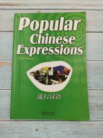 popular chinese expressions 流行汉语