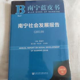 南宁蓝皮书：南宁社会发展报告（2019）