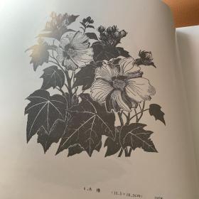 刘岘版画选馆藏图书（作者从1957年至1981年木刻版画作品65幅）