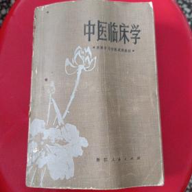 中医临床学