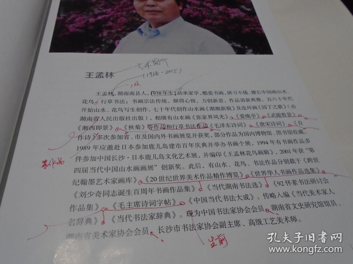 王孟林 书画作品集