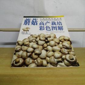 （21世纪新农民文库·食用菌栽培彩色图解丛书）蘑菇高产栽培彩色图解