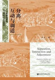 分离、互动与调适：一个壮族村落的人口流动与文化变迁     李虎 著