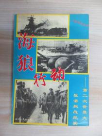 海狼行动:第二次世界大战潜艇战纪实