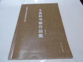 王孟林 书画作品集