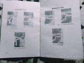 1986年雅安地委卫生局收集的十七位老中医经验——老中医学术经验选编（第一辑）——雅安地委卫生局1986版